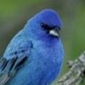 Meet your Posher, Kat